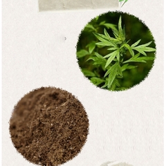 1 Miếng Dán Thảo Dược Ngải Cứu Thải Độc Cho Khung Nắn Chỉnh Cột Sống Sưởi Điện