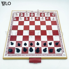 Bộ Cờ Vua Cỡ Lớn Chuẩn Quốc Tế Hộp Nhựa Xếp Gọn Kích Thước 42x42cm