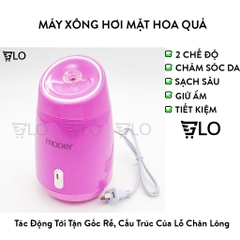 Máy Xông Hơi Mặt Hoa Quả Tươi Tự Động 2 In 1 Tiện Dụng Nhỏ Gọn