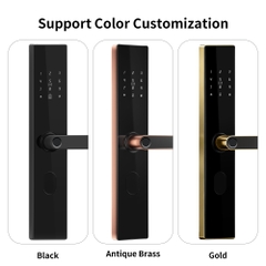 Khóa cửa thông minh vân tay phối kim loại cho cửa chính hiện đại Locktek F18-TTlock