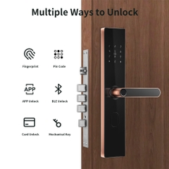 Khóa cửa thông minh vân tay phối kim loại cho cửa chính hiện đại Locktek F18-TTlock