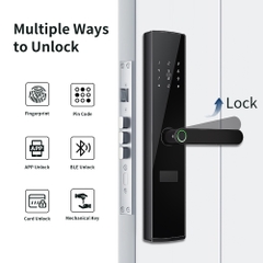 Khóa cửa thông minh Locktek F15 vân tay cho cửa gỗ và nhôm hệ lớn