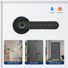 Khóa cửa thông minh mở bằng mật khẩu tay nắm tròn thiết kế khác biệt Locktek FF03