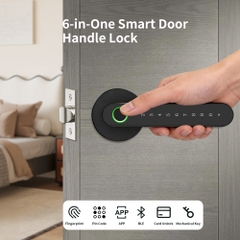 Khóa cửa thông minh mở bằng mật khẩu tay nắm tròn thiết kế khác biệt Locktek FF03