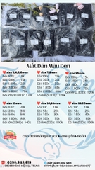 MẮT DÁN
