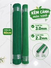 KẼM CÀNH