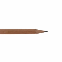 Bút chì Staedtler exam 132 40N C12 (12/144)