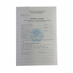 Hợp đồng lao động NY (100/1000)
