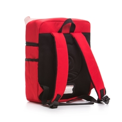 Balo Tiểu Học Chống Gù BEDDYBEAR Cute Bag Họa Tiết Gấu Bắc Cực Cho Bé YE-GAU