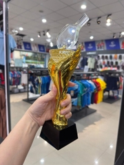CÚP PICKLEBALL PHA LÊ CÁNH THIÊN THẦN