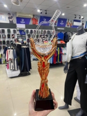 Cúp Pickleball Pha Lê - 09