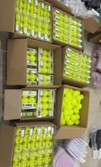 BÓNG PICKLEBALL FACOLOS