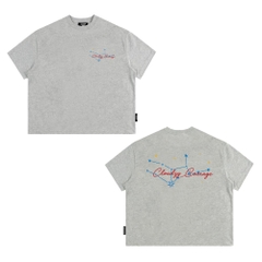 [NEW] Áo thun boxy in hình cá tính 100% cotton 250gsm form rộng nam nữ áo phông local brand CLOUDZY streetwear COURAGE