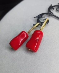 MV304 - sanhodo hạt dài