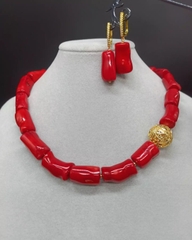 MV304 - sanhodo hạt dài