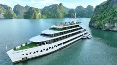 Thuê trọn du thuyền ngủ đêm Elite of The Seas 6 sao tổ chức sự kiện
