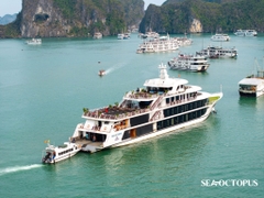 Tour vịnh Hạ Long 1 ngày: Tàu 5 sao + Đón - trả Hà Nội/Hải Phòng