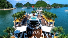 Charter du thuyền Dolphin Hạ Long: Giải pháp tổ chức sự kiện, gala dinner chuyên nghiệp