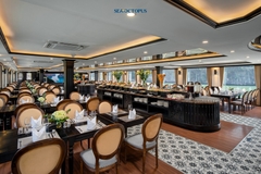Combo Khách sạn 4 sao Bãi Cháy + Du thuyền Sea Octopus 5 sao