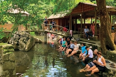 Tour khám phá Việt Hải - Đỉnh Hải Quân - Vịnh Lan Hạ 1 ngày
