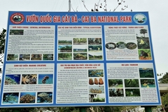Tour Trekking- Ngủ rừng -Thăm vịnh Lan Hạ - Cát Bà 2 ngày 1 đêm