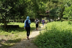Tour Trekking- Ngủ rừng -Thăm vịnh Lan Hạ - Cát Bà 2 ngày 1 đêm