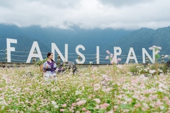 Tour Hà Nội - Hạ Long - Cát Bà - Ninh Bình - Sapa 6 ngày 6 đêm