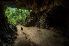 Tour du lịch Cát Bà 3N2Đ - Miễn phí vé cáp treo (Giá tour 2025)