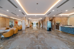 Danitel Hạ Long