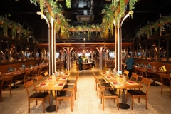 Charter du thuyền Dolphin Hạ Long: Giải pháp tổ chức sự kiện, gala dinner chuyên nghiệp
