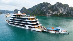 Du thuyền Halora Nova Cruise (2N1Đ)