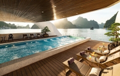 Thuê trọn du thuyền ngủ đêm Diana Cruise tổ chức sự kiện
