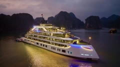 Thuê trọn du thuyền ngủ đêm Tulip Cruise tổ chức sự kiện