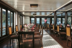 Du thuyền Hạ Long Phonix Cruise (2N1Đ)