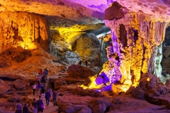 Tour Cát Bà - Hạ Long 3 ngày 2 đêm khám phá 2 miền di sản