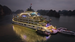 Thuê trọn du thuyền ngủ đêm Tulip Cruise tổ chức sự kiện