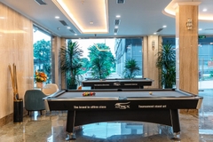 Danitel Hạ Long