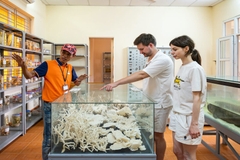 Tour Hạ Long - Cát Bà 1 ngày khởi hành từ Hà Nội và Hải Phòng