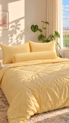 Chăn chần lẻ hoạ tiết mùa hè cao cấp size ngẫu nhiên, lụa tencel mềm, mịn, thoáng mát( Riêng trong Livestream)