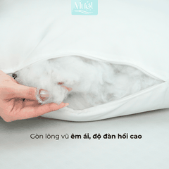 Ruột gối nằm lông vũ - Combo 2 ruột 50x70cm