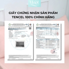 Bộ 4 Món Ga Gối Lụa Tencel 60s - Xanh Rừng - 1m6x2m (13-22cm)
