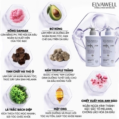 Bộ Dầu Gội Xả Phục Hồi Hư Tổn Siêu Suôn Mượt Elvawell 1000ml, Trẻ Hóa Da Đầu - Tím