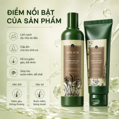 Bộ dầu gội xả Thảo dược Weilaiya Gừng Dưỡng đen, Chắc khỏe tóc, Kích thích phát triển 400/250ml