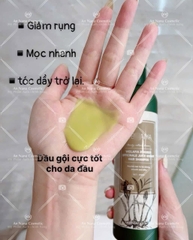 Bộ dầu gội xả Thảo dược Weilaiya Gừng Dưỡng đen, Chắc khỏe tóc, Kích thích phát triển 400/250ml
