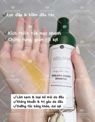 Bộ dầu gội xả Thảo dược Weilaiya Gừng trắng nhân sâm Giảm gãy rụng da đầu bết 400/250ml