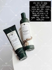 Bộ dầu gội xả Thảo dược Weilaiya Gừng trắng nhân sâm Giảm gãy rụng da đầu bết 400/250ml