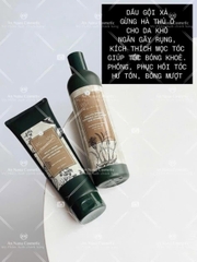 Bộ dầu gội xả Thảo dược Weilaiya Gừng Dưỡng đen, Chắc khỏe tóc, Kích thích phát triển 400/250ml