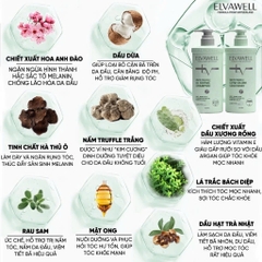 Dầu Gội Giảm Gãy Rụng Tóc Sạch Dầu Bết Elvawell 1000ml, Cân Bằng Dầu, Chắc Khỏe Nang Tóc - Xanh