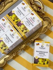 Tinh Dầu Hoa Anh Thảo Warnke Nachtkerzenol 500mg Hỗ Trợ Nội Tiết Tố Đẹp Da - 100 viên