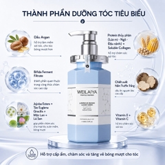 Bộ dầu gội xả kiềm dầu phồng tóc Weilaiya chiết xuất Nấm Truffle 450ml